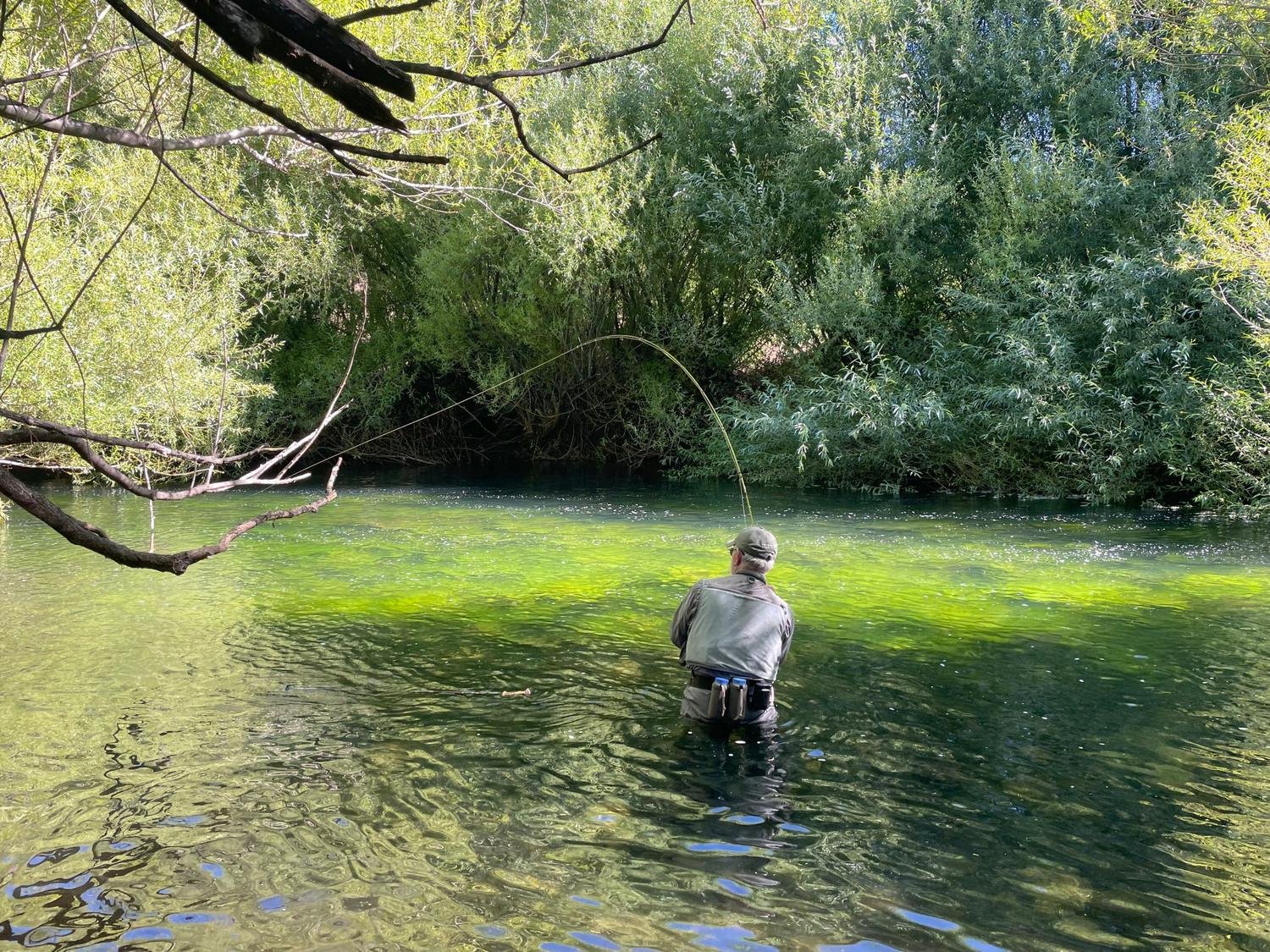 Casting beneath overhanging branches
