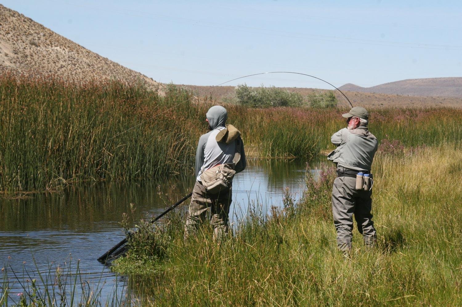Playing a trout from the riverbank