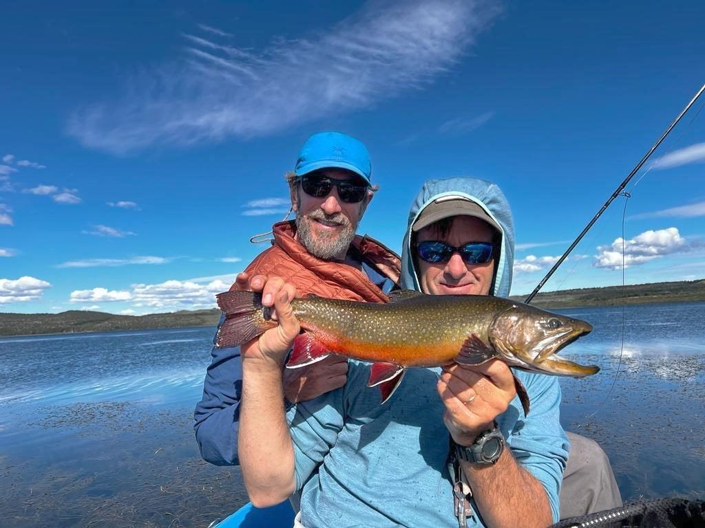 Brook trout on the lake