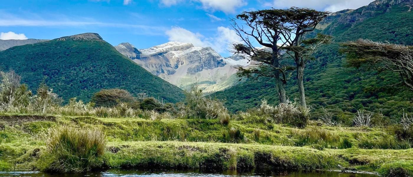 Green valley and snowy peaks above a Patagonian river
